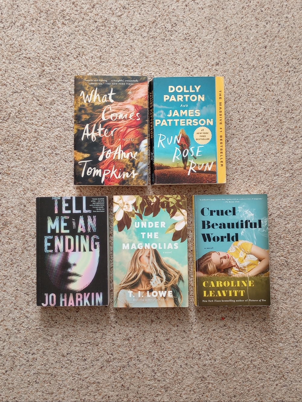 Lot Of Thriller Mystery Suspense Psychological Drama Fition Book Bundle